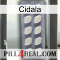 Cidala 08